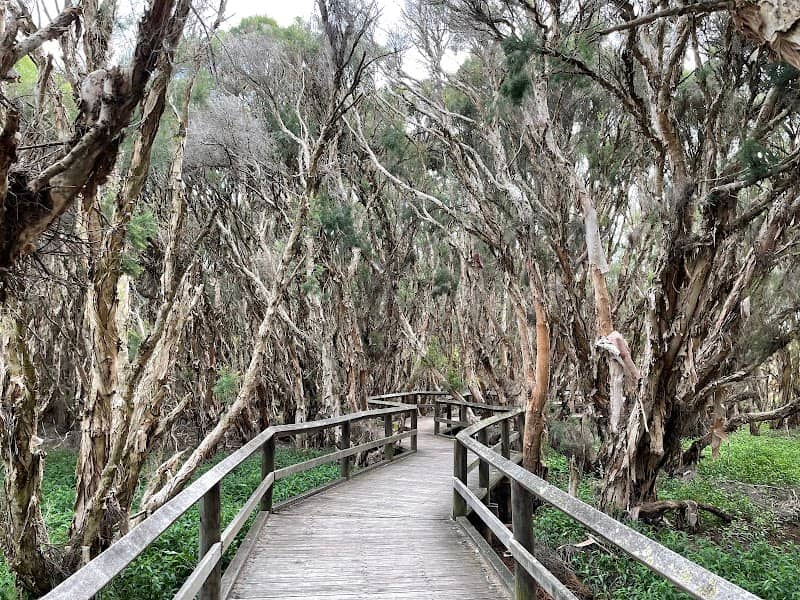 Big Swamp Parkland - Image 1