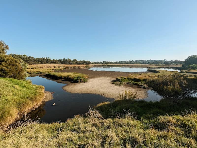 Big Swamp Parkland - Image 2