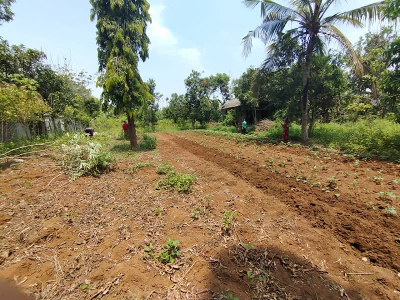 Tanah Achi - Image 1