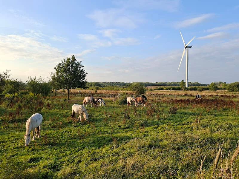 Windston the Wind Turbine - Image 1