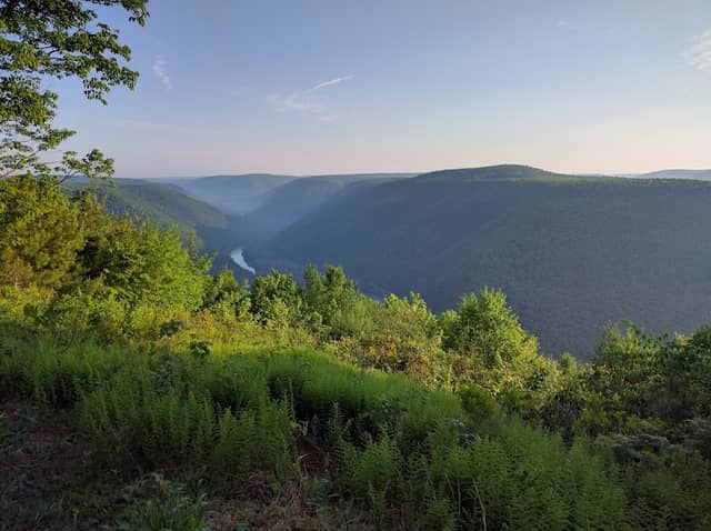 Tiadaghton State Forest - Image 1