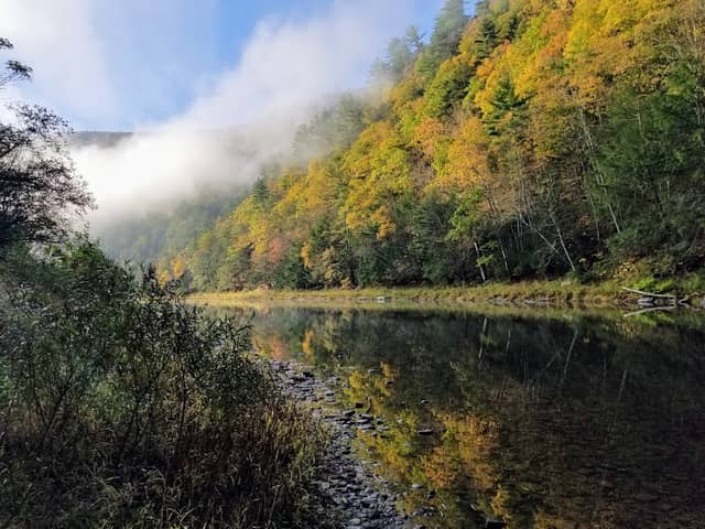 Tiadaghton State Forest - Image 2
