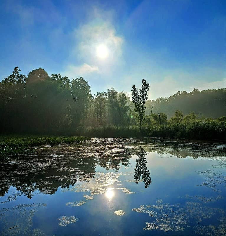 Summit Metro Parks - Image 1