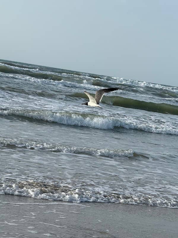Port Aransas - Image 1