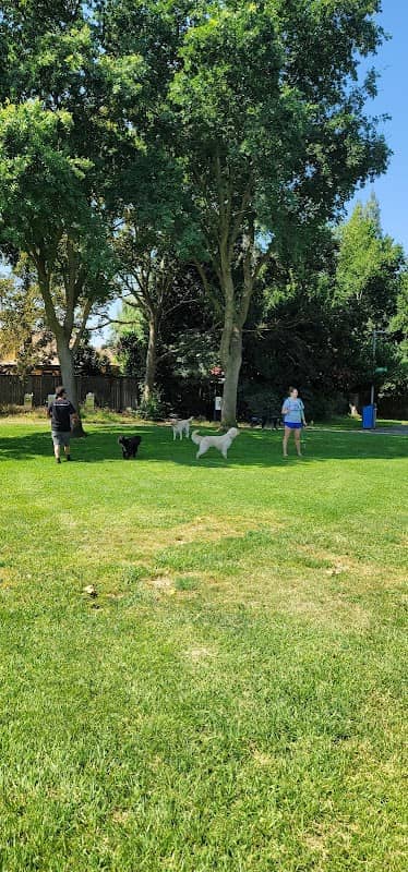 Walnut Park Unfenced Offleash Dog Area - Image 2