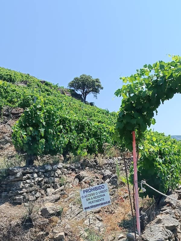 Columpio TERRA BRAVA - Image 3