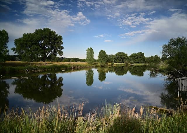 Lakewood City Urban Parks - Image 2