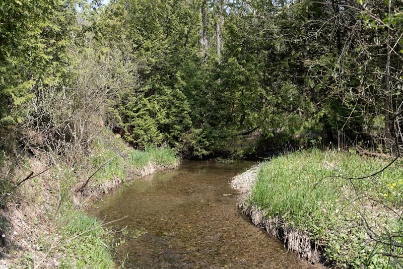 Orono Crown Lands - Image 2
