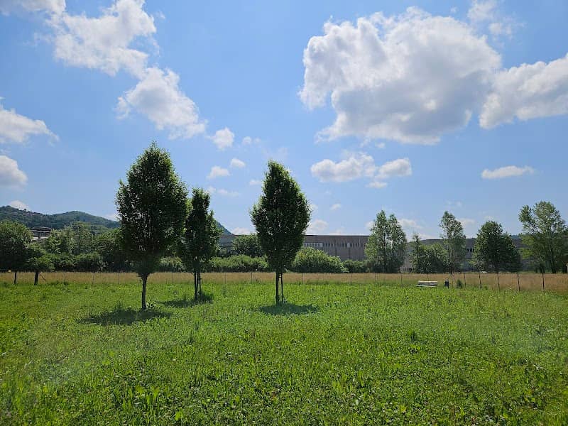 Area Cani - Image 2