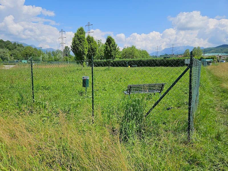 Area Cani - Image 1