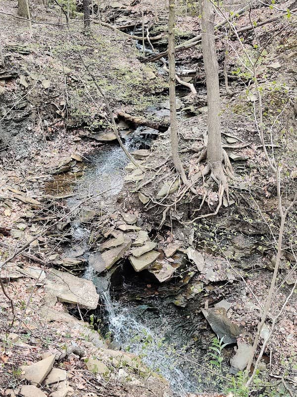 Sagamore Creek Trail Loop - Image 1
