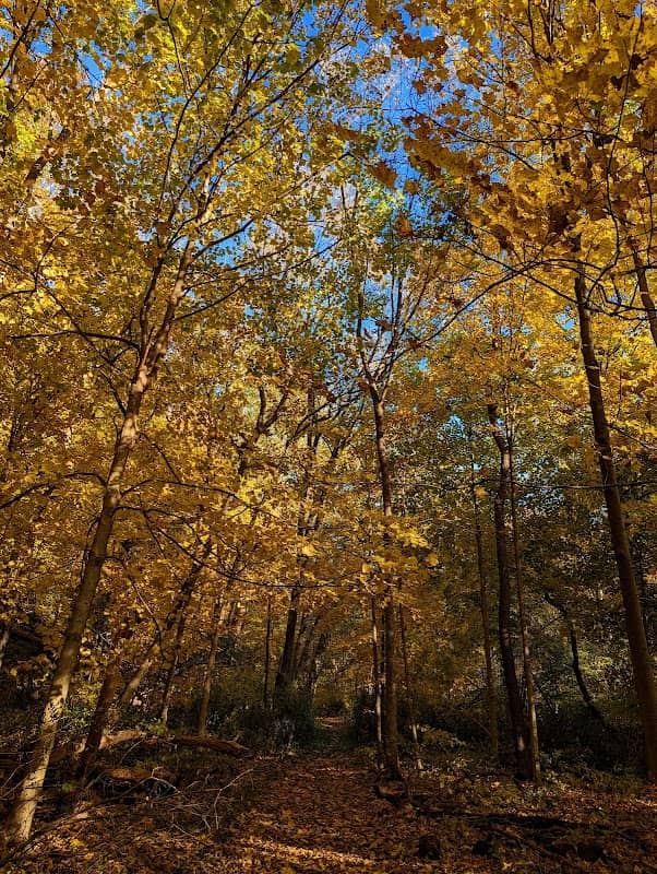 Sagamore Creek Trail Loop - Image 2