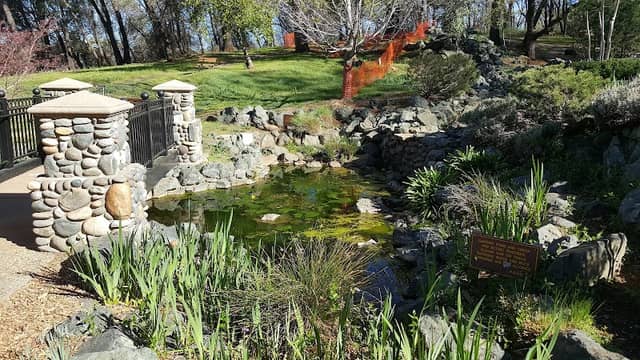 Bille Park - Image 2