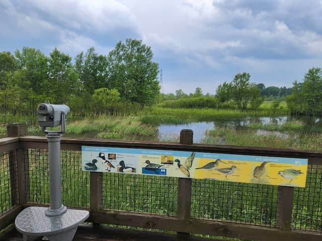 Observation Tower - Image 1