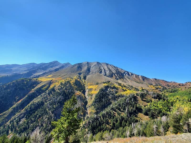 Nebo Loop National Scenic Byway - Image 2
