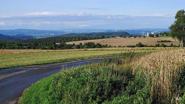 Teich - Image 1