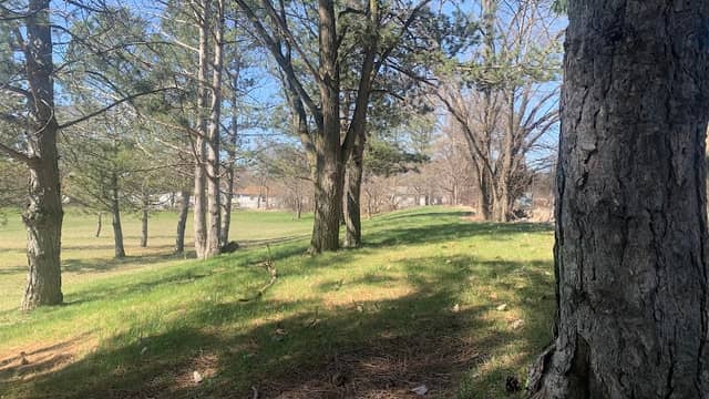 Rollingwood Park - Image 1