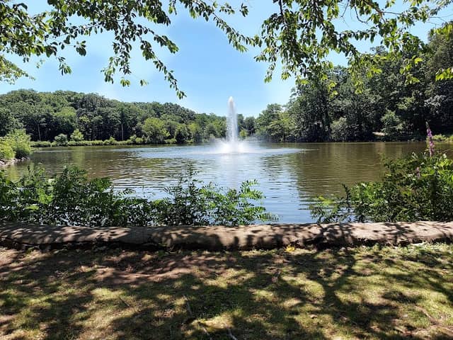 Fellsmere Park - Image 2