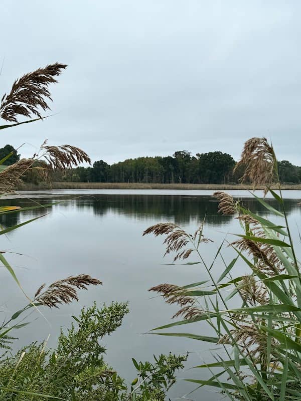 Kent Island Trail at Terrapin Nature Park - Image 1