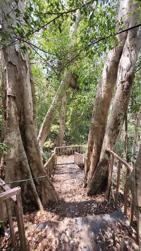View Point - Image 1