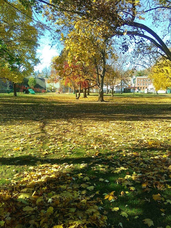 Thrall Park - Image 1