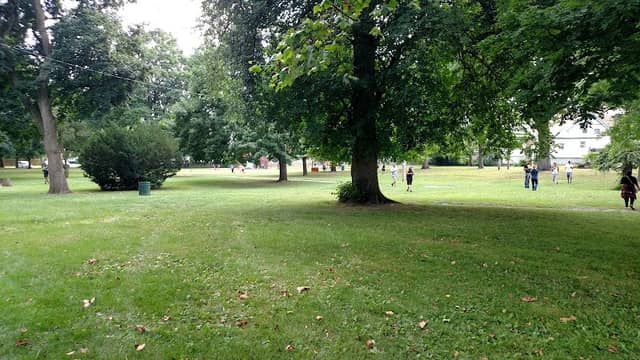 Thrall Park - Image 2