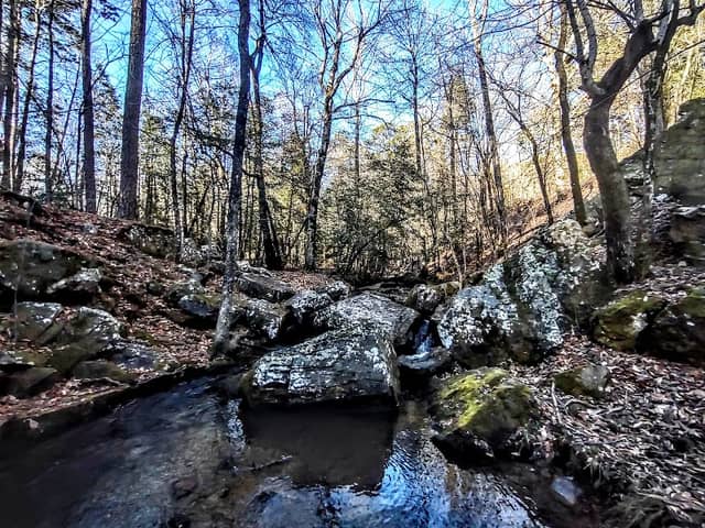 Collier Springs - Image 1
