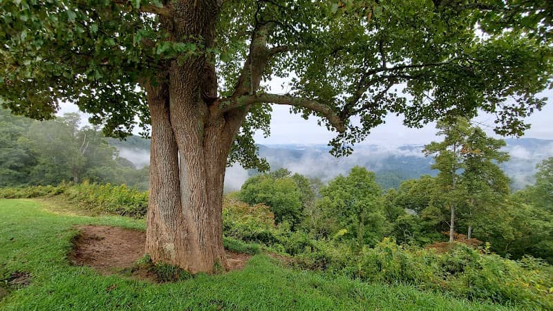 Grandview Overlook - Image 2