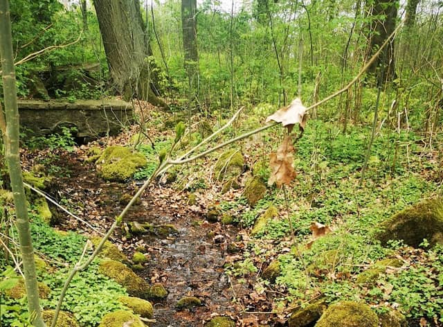 Park - Image 1
