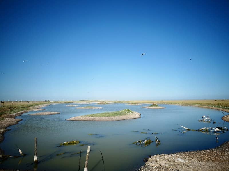 Rye Harbour Nature Reserve (Winchelsea) - Image 2