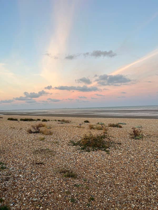 Rye Harbour Nature Reserve (Winchelsea) - Image 3