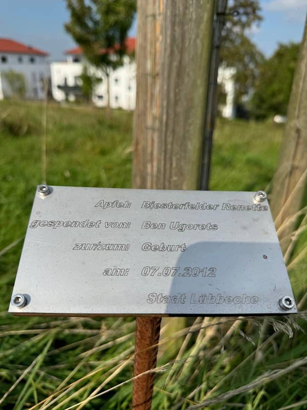 Hochzeit Allee - Image 2