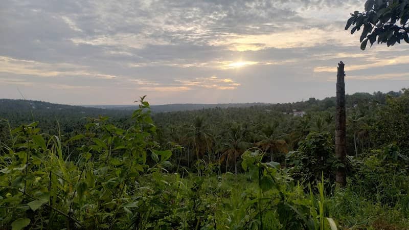 Meenchira viewpoint - Image 1