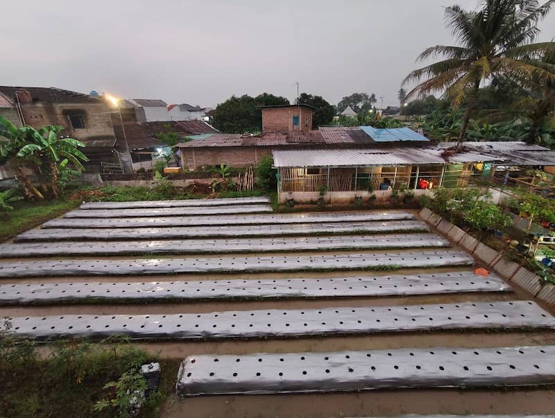 Saung sembilan LPPNU Cilegon - Image 1