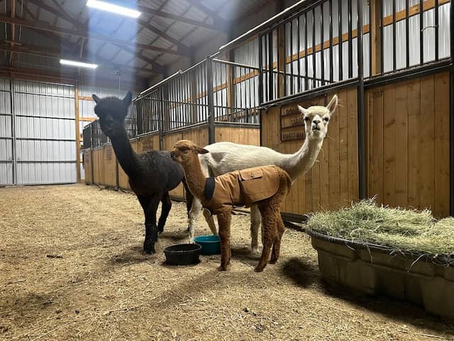 Carbon County Fairgrounds Horse Barn - Image 1