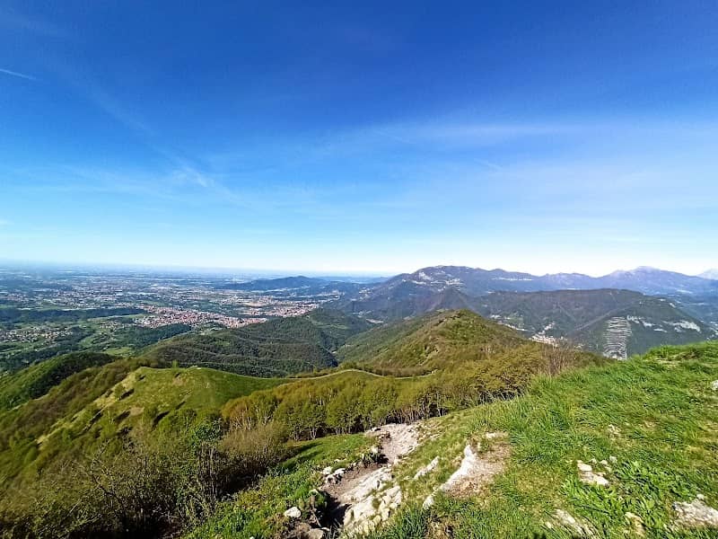 Canto Alto 1146 Mt. - Image 2