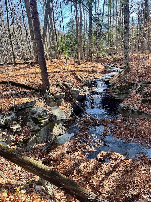 Historic LeRay Mansion Trail - Image 2