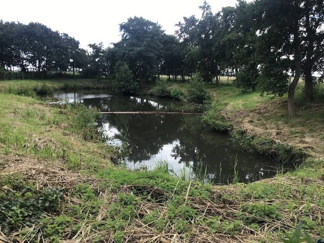Teich - Image 1