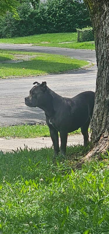 Trotwood Parks & Recreation - Image 1