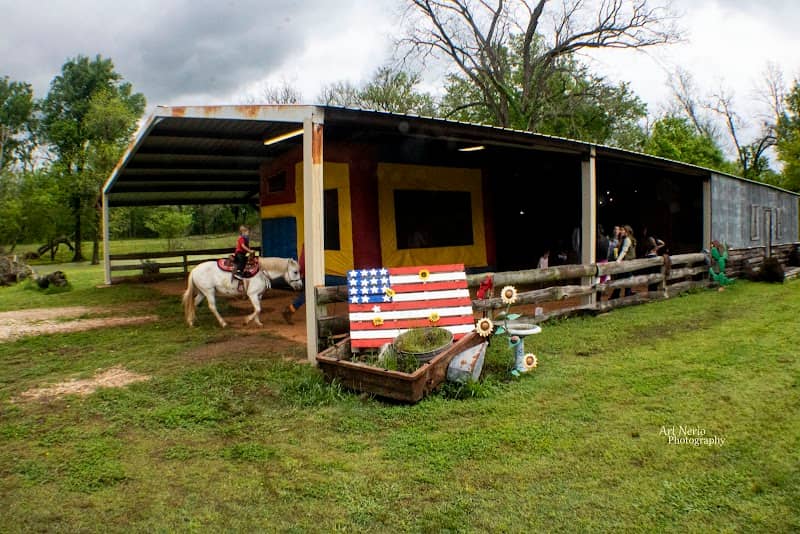 Team E Horseback Riding School and Pony Rental - Image 2