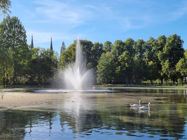 Fontäne im Französischen Garten - Image 2