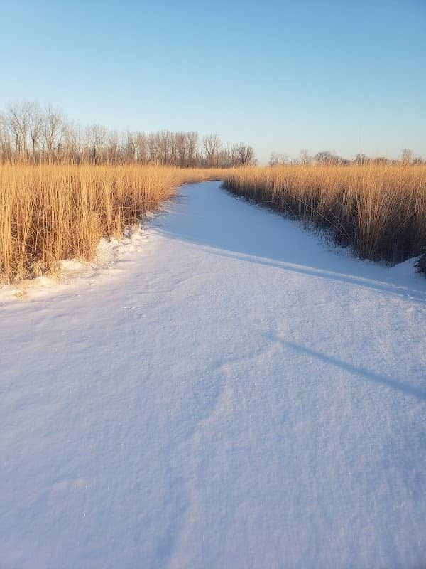 White Star Park: Horse Trails - Image 1