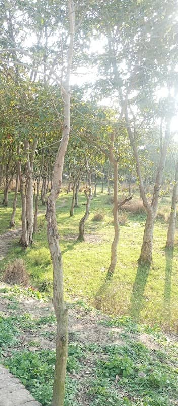 Uttar Pradesh - Image 1