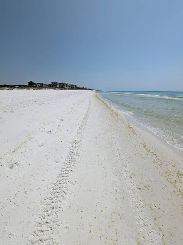Dune Allen Regional Beach Access - Image 2