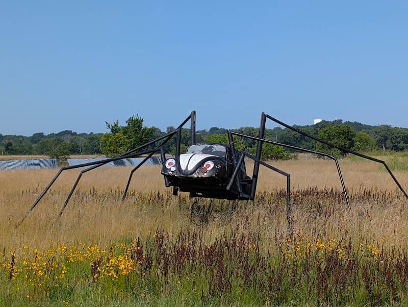 Spider Bug - Image 1