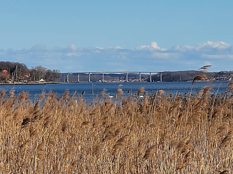Lehnskov Strand - Image 1