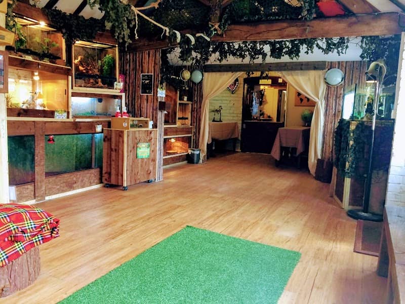 The Jungle Hut - Image 2