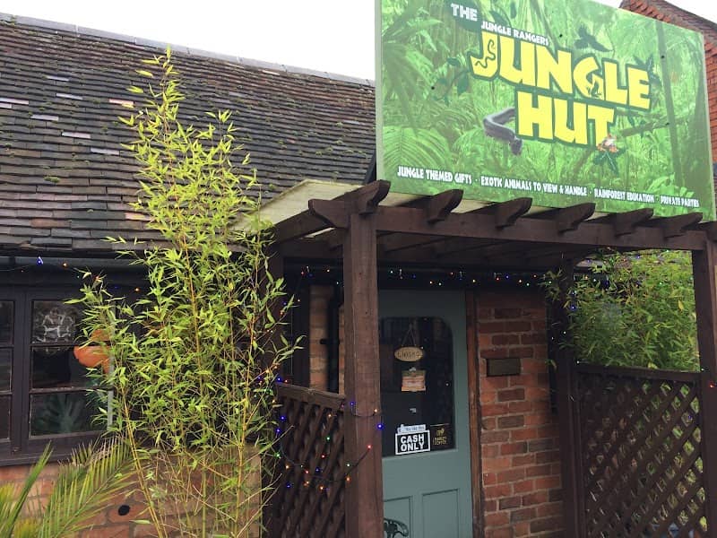 The Jungle Hut - Image 1