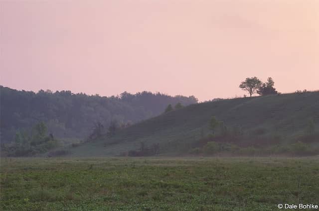 River Terrace Prairie Scientific and Natural Area - Image 1