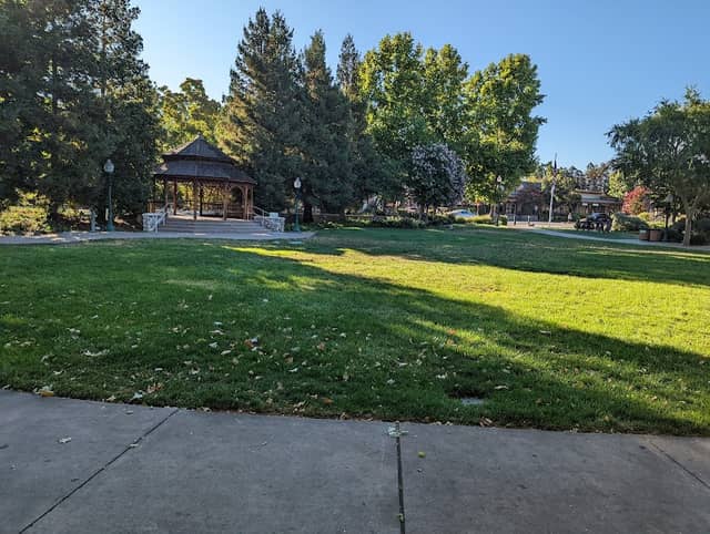 The Grove - Image 3